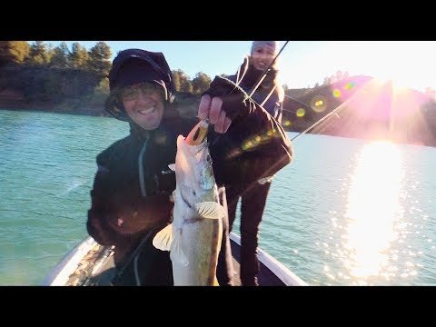 Miniatura oficial de YouTube de «Lucio - Bass Jamonero 2017. Cortes de Pallás. Valencia Bass Club» · javaLOOYA