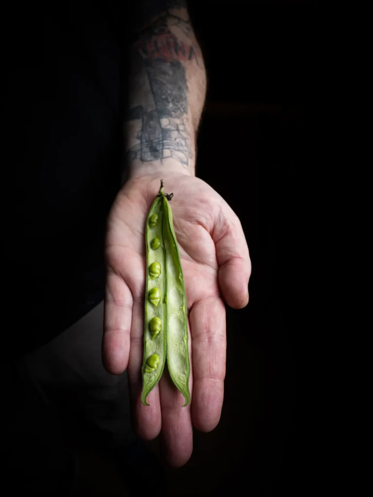 Guisantes frescos sostenidos en una mano tatuada