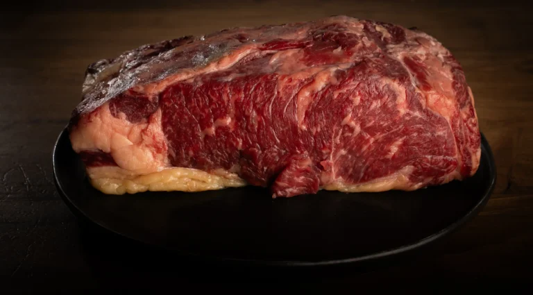 Pieza de carne presentada sobre una vajilla oscura